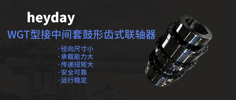 WGT型接中间套鼓形齿式联轴器_副本.png